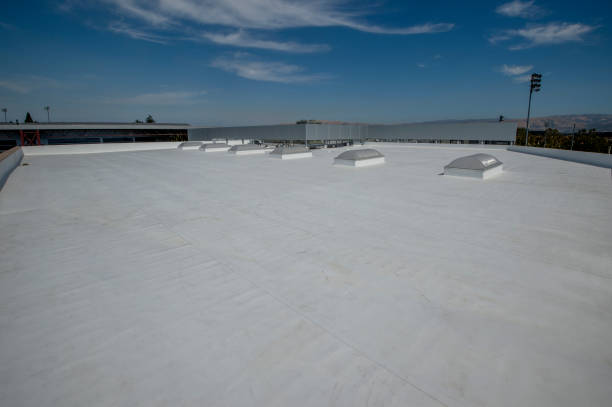 Best 4 Ply Roofing  in USA